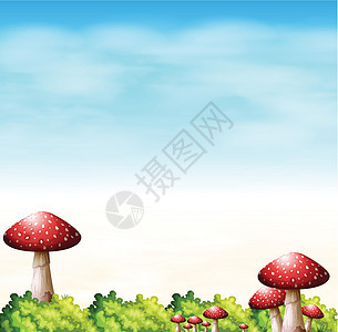 有红色蘑菇的一个庭院图片