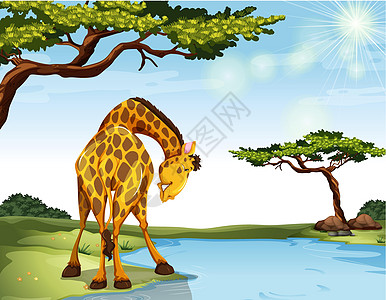 吉拉菲哺乳动物木板森林发束场景风景卡通片野生动物树木绘画图片