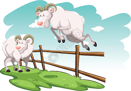 两只山羊食物墙纸动物农场毛皮宠物卡通片胡须农业绘画图片