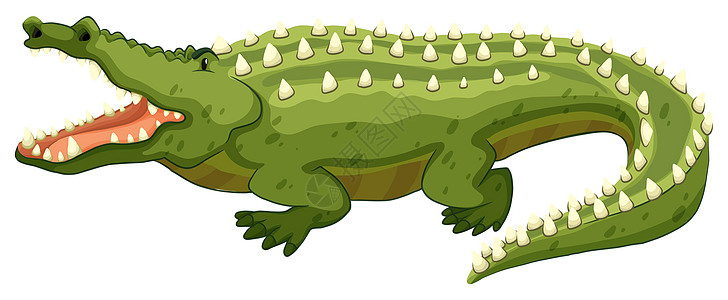 鳄鱼食肉绘画白色棕色野生动物荒野卡通片绿色猎人土地图片