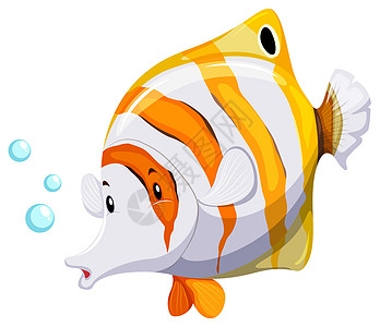 一条鱼橙子荒野绘画游泳条纹动物卡通片野生动物白色气泡图片