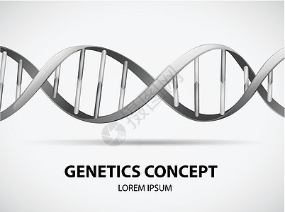遗传基因医疗绘画卡通片药品单词假话横幅卡片墙纸标识图片
