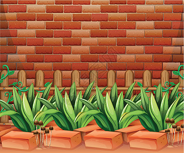 栅栏砖块风格园艺植物海报花园贬损墙纸种植棕色图片