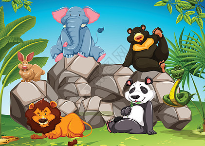 动物明信片树木狮子海报动物园熊猫卡通片岩石野生动物植物图片