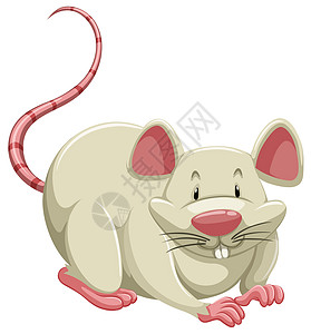 白老鼠绘画家庭动物害虫胡须牙齿猎物毛皮老鼠棕色图片