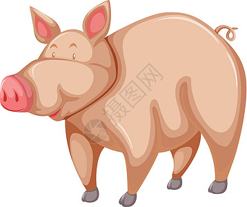 粉猪农场粉色生计农业猪蹄鼻子绘画动物脚趾偶数图片