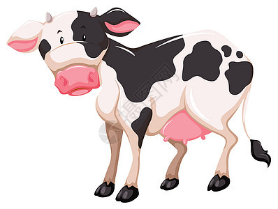 挤奶动物奶牛白色牛奶斑点奶制品哺乳动物燃料家畜绘画皮革图片
