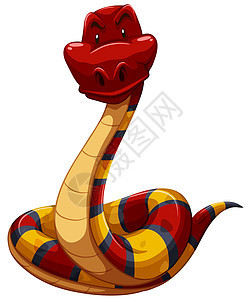 七彩蛇捕食者毒液动画白色脊椎动物羊膜寓言绘画舌头爬虫图片