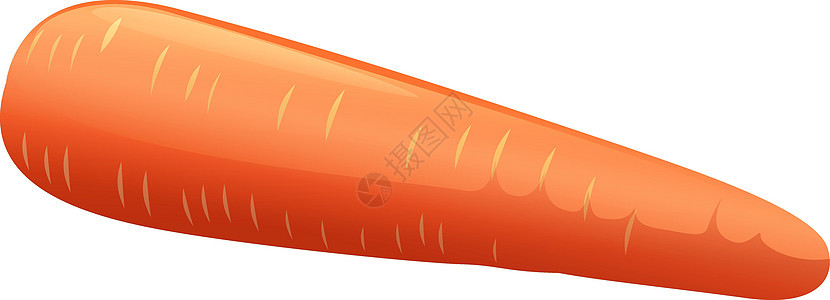 橙胡萝卜植物科橙子维生素被子园艺淀粉植物果汁直根小行星背景图片