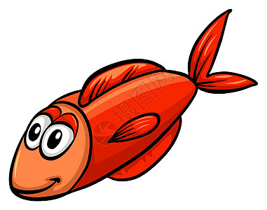 一只红鱼绘画养殖水产渔夫商业软骨轴承颅骨食物冷血图片