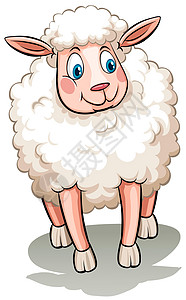 绵羊天气羊毛母羊绘画哺乳内存反刍动物剪切牛奶农业图片
