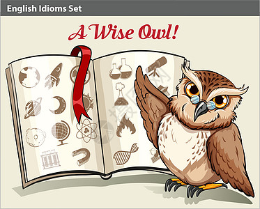 带有wise ow的英语成语菜单智慧艺术品绘画样式动物艺术学生红色实验室背景图片
