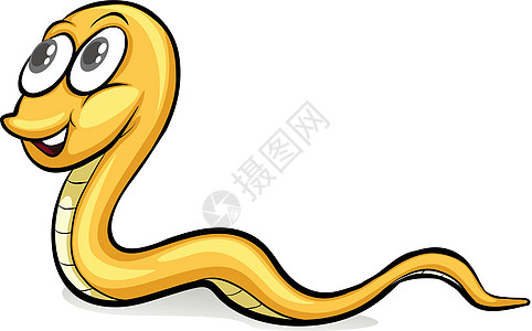一条蛇叛徒白色动物蜥脚类绘画蛇类毒液鳞目蛇蝎爬虫图片