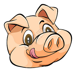 猪肝白色农场舌头小猪墙纸快乐生物微笑哺乳动物绘画图片