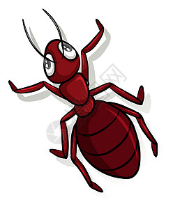 一个红色的绘画化合物国王骨骼昆虫触角领导者蚂蚁眼睛胸部图片