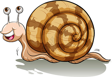 缓慢的蜗牛线条英语圆形白色绘画眼睛螺旋语言棕色文字图片
