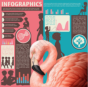 显示人和动物的图表报告酒吧经济学概念商业图形化统计信息知识绘画图片