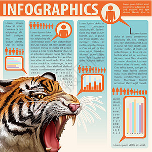 显示 anima 的信息图表白色统计酒吧生长商业危险收藏文档经济学老虎图片