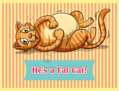 脂肪钙晶须野生动物卡通片宠物墙纸猫咪生物横幅条纹小猫图片