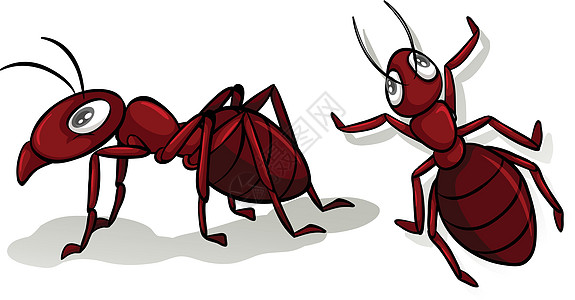 在惠特的简单的红色蚂蚁夹子昆虫绘画剪贴艺术动物图片