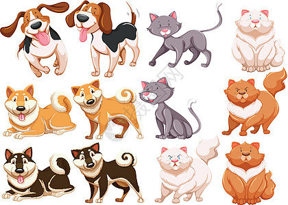 动物最好的朋友小狗墙纸木板犬类宠物横幅卡通片海报绘画图片