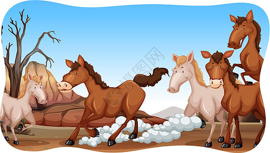 马匹绘画野生动物木板跑步海报棕色动物墙纸生物荒野图片