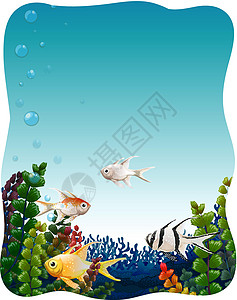 鱼在水下热带淡水海水绘画白色哺乳动物情调海藻气泡游泳图片