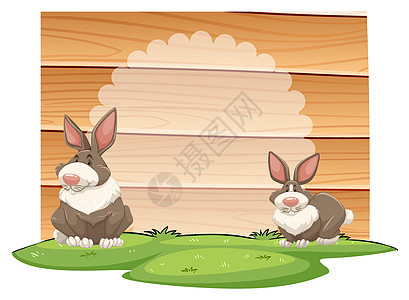兔子情调草地书写耳朵空间异国节日动物宠物白色图片