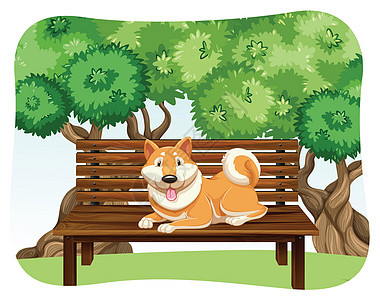 狗在板凳上动物小狗野生动物公园长椅哺乳动物异国花园情调荒野图片