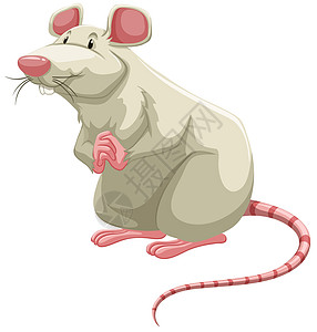 白腊海报卡片哺乳动物知识横幅老鼠卡通片单词动物幼儿园图片