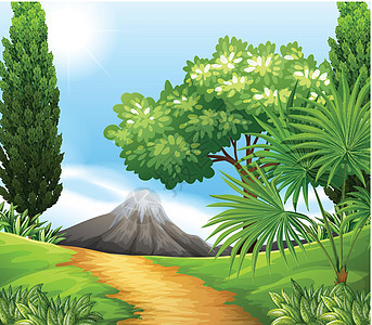 场景环境森林卡通片天空丛林树叶藤蔓树干墙纸风景图片