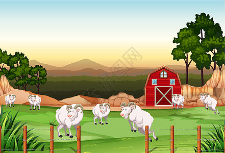 山羊场景农场绘画宠物农田土地场地卡通片建筑风景图片