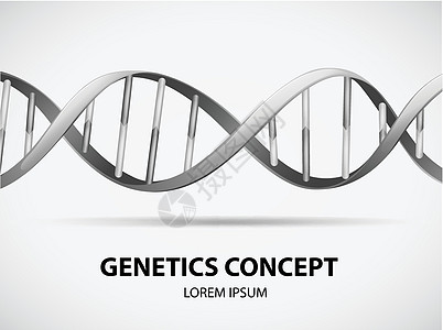 遗传基因标识卡片假话白色学习药品生物学绘画科学横幅图片