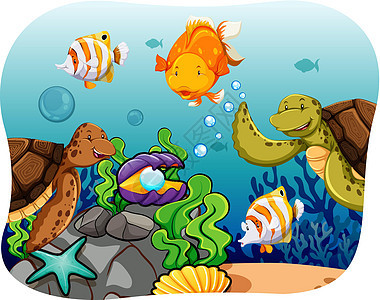 阿夸蒂岩石卡通片动物珍珠白色绘画海报珊瑚游泳海洋图片