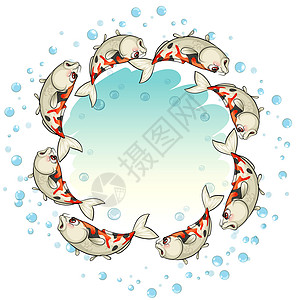 围成一圈的鱼气泡海洋同步运动学校颅骨动物插图冷血动物学图片