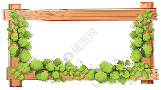 框架装饰品绘画材料卡通片横幅木头绿色白色植物墙纸图片