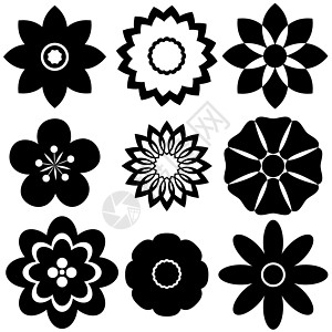 花卉模板组风格插图装饰花朵艺术白色艺术品阴影黑色圆形图片