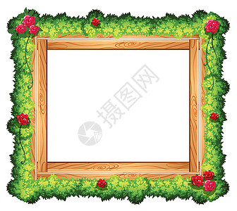 相框木板树叶绘画横幅木头正方形白色兄弟卡通片玫瑰图片