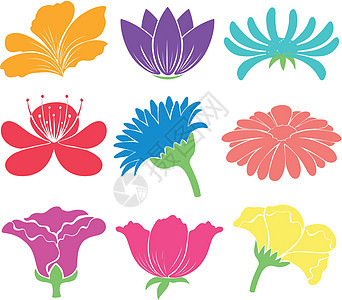 花卉艺术品风格插图海报白色装饰品花瓣花粉花朵花香植物背景图片