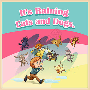白痴动物海报倾盆大雨语言风暴小狗英语成语措辞天气图片