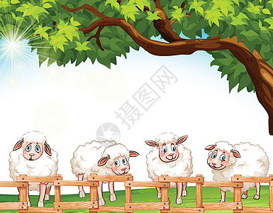 四羊家畜农业内存猪蹄子母羊动物场地牛奶哺乳动物绘画图片