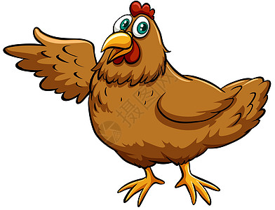 棕春鸡动物俚语棕色食物斗篷白色农业家禽龙虾女士图片