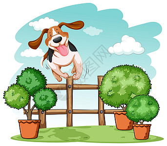 狗跳过围栏栅栏家庭最好的朋友动物宠物天空风景蓝色小狗友谊图片