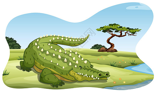 鳄鱼卡通片野生动物濒危生物绘画土地白色荒野热带河岸图片
