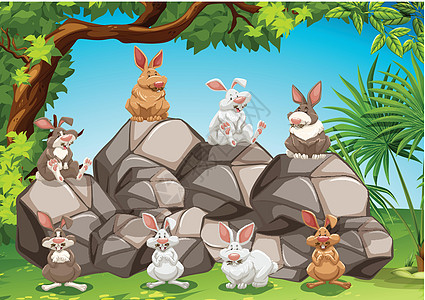 兔子森林栖息地树木岩石动物荒野风景野兔场景野生动物图片