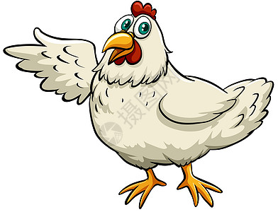 一只小鸡羽毛俚语生计绘画白色动物农业家禽母鸡翅膀图片