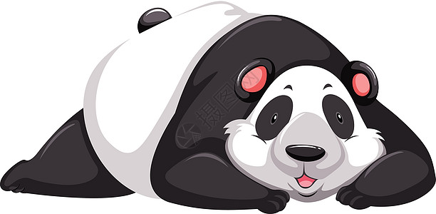 疲惫的熊猫绘画拥抱说谎哺乳动物身体植物性食肉头发睡眠鼻子图片
