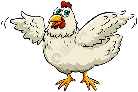 一只春鸡女士白色母亲俚语农业家禽龙虾农场食物绘画图片