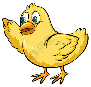 黄色别致绘画农场生计翅膀寓言小鸡眼睛婴儿白色动物图片