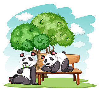 大熊猫在标准杆天空蓝色鼻子哺乳动物食肉绿色植物椅子犬形头发身体图片